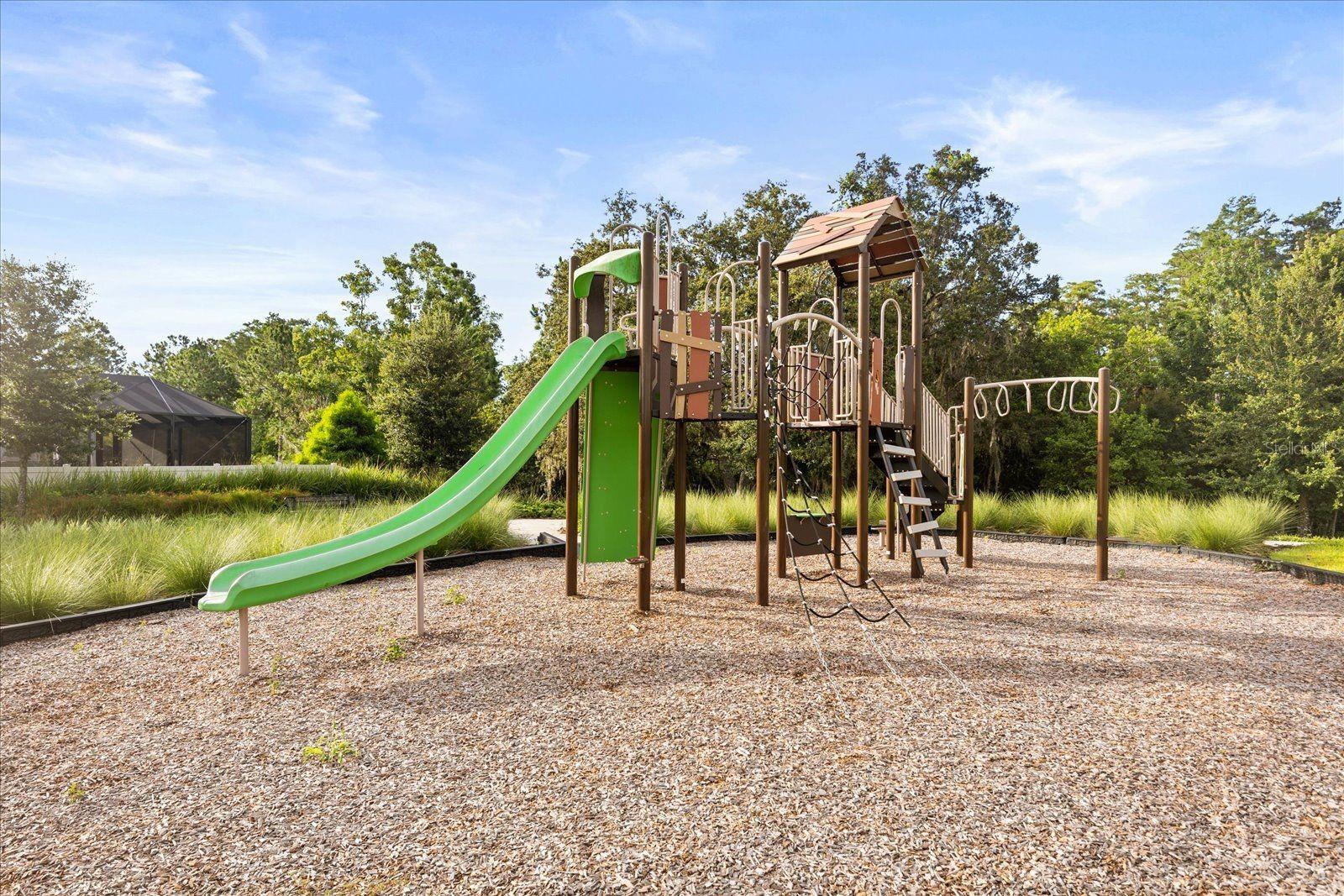 Image 54 of 54 For 12410 Encore At Ovation Way