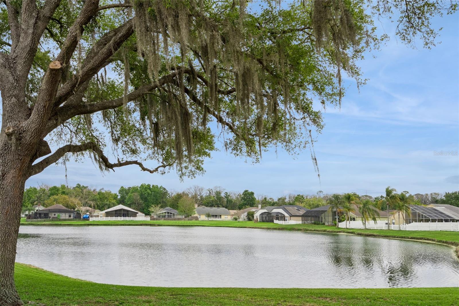 Image 40 of 44 For 1996 Magies Court