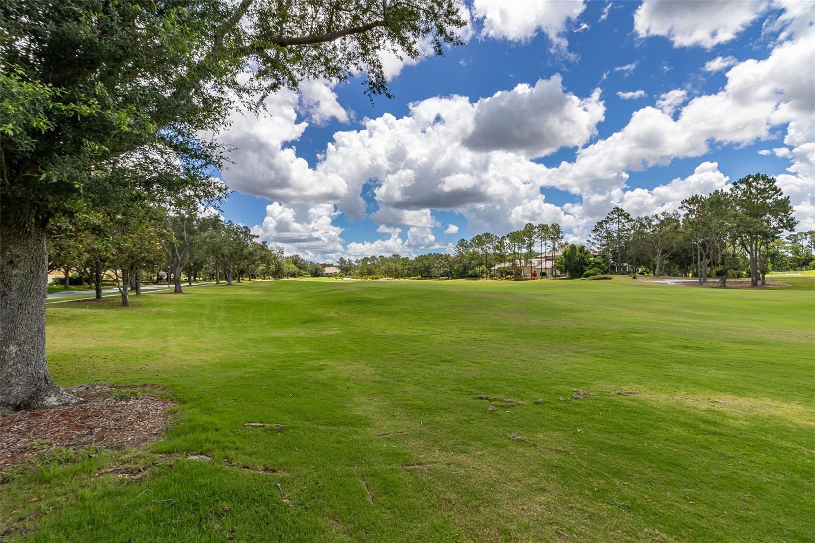 Image 54 of 71 For 8351 Bowden Way