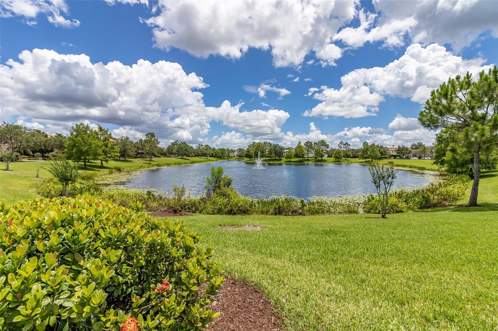 Image 58 of 71 For 8351 Bowden Way