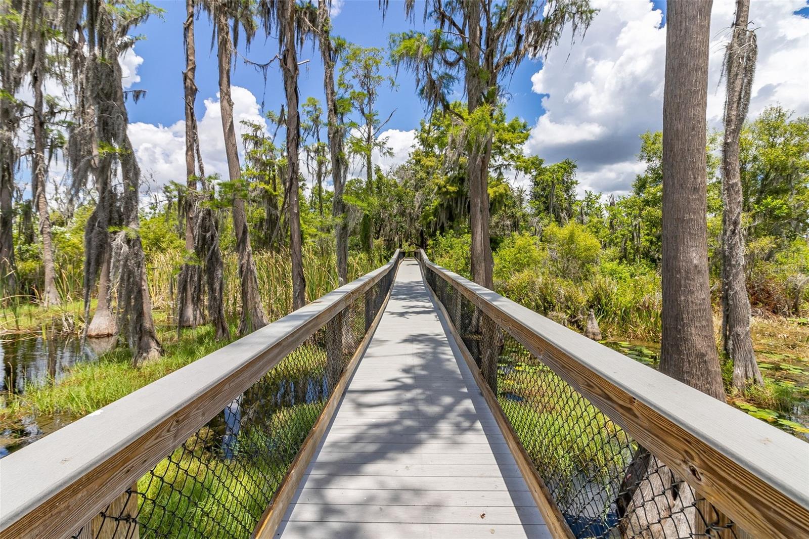 Image 66 of 71 For 8351 Bowden Way