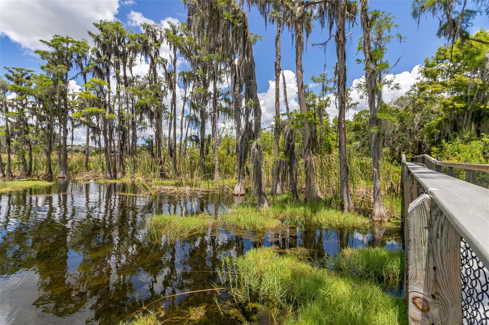 Image 67 of 71 For 8351 Bowden Way