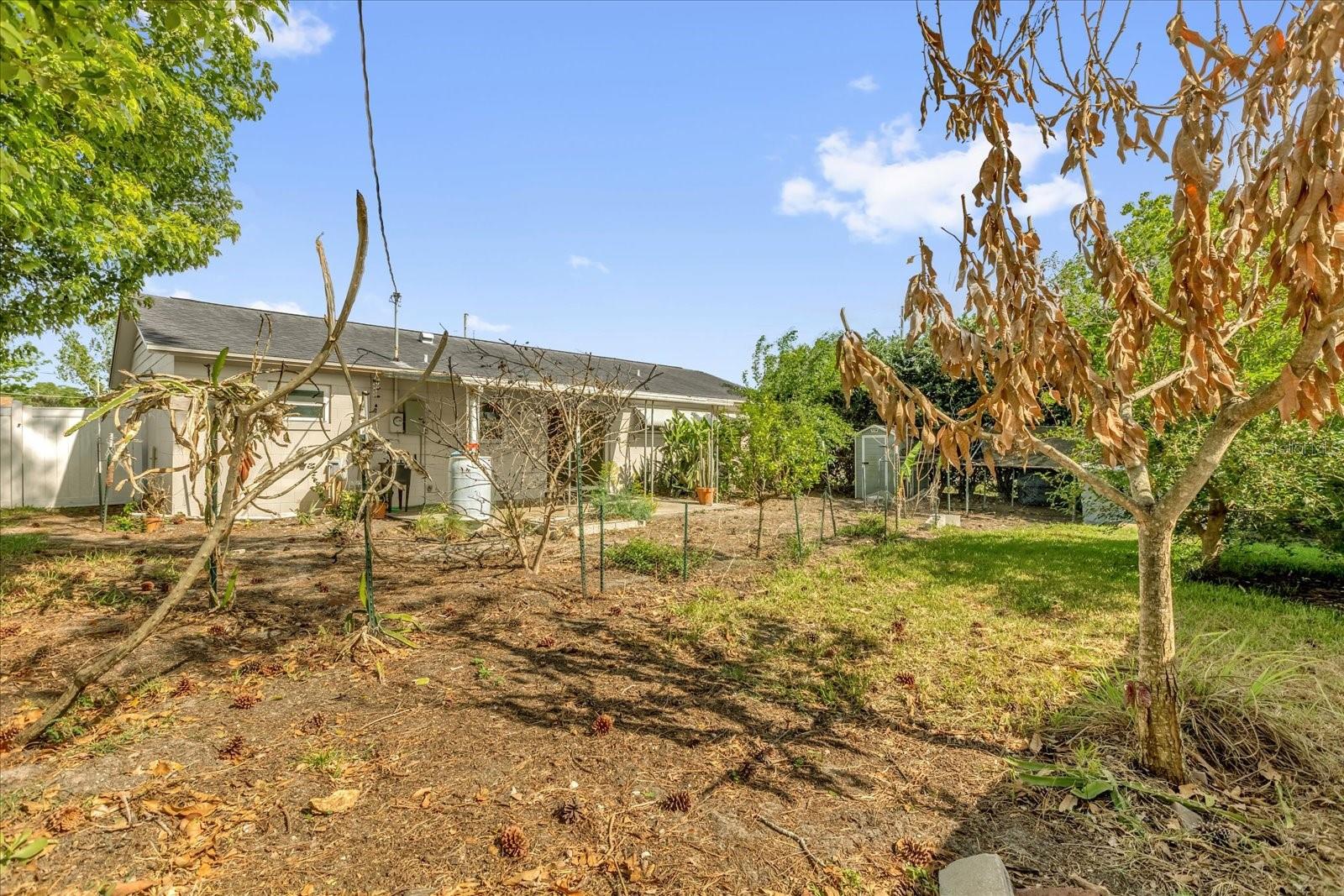 Image 24 of 29 For 1412 Oxalis Avenue