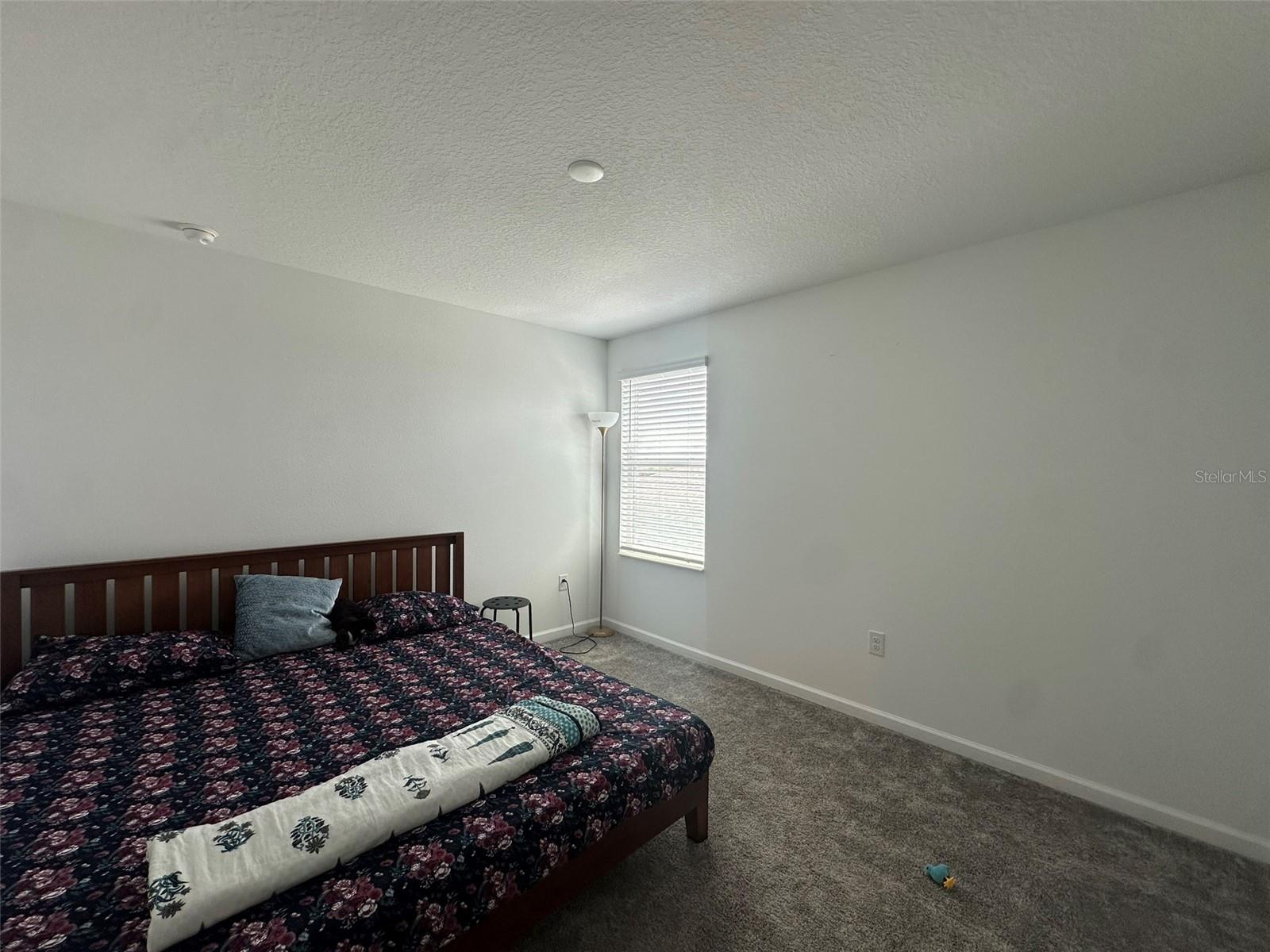 Image 22 of 35 For 373 Pineywoods Street