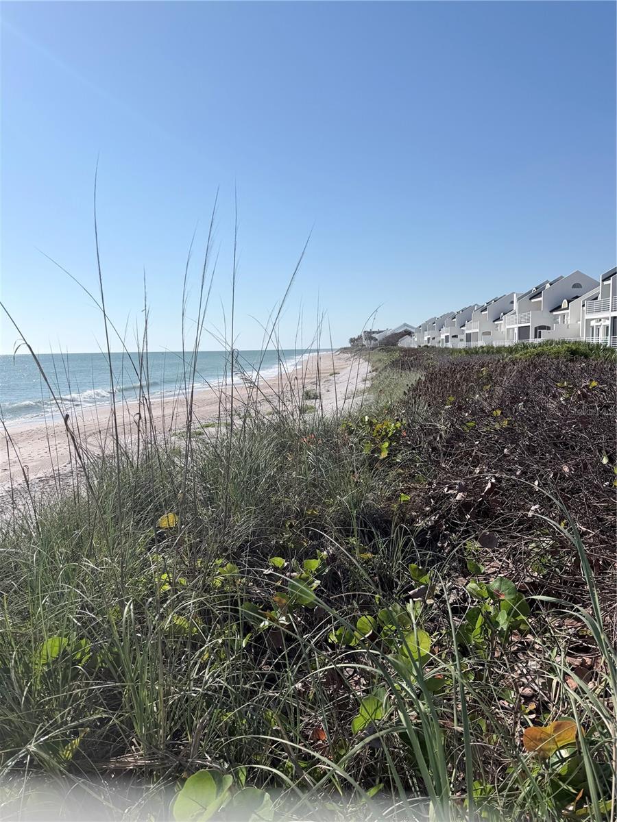 Image 28 of 34 For 8365 Baytree Drive 8365