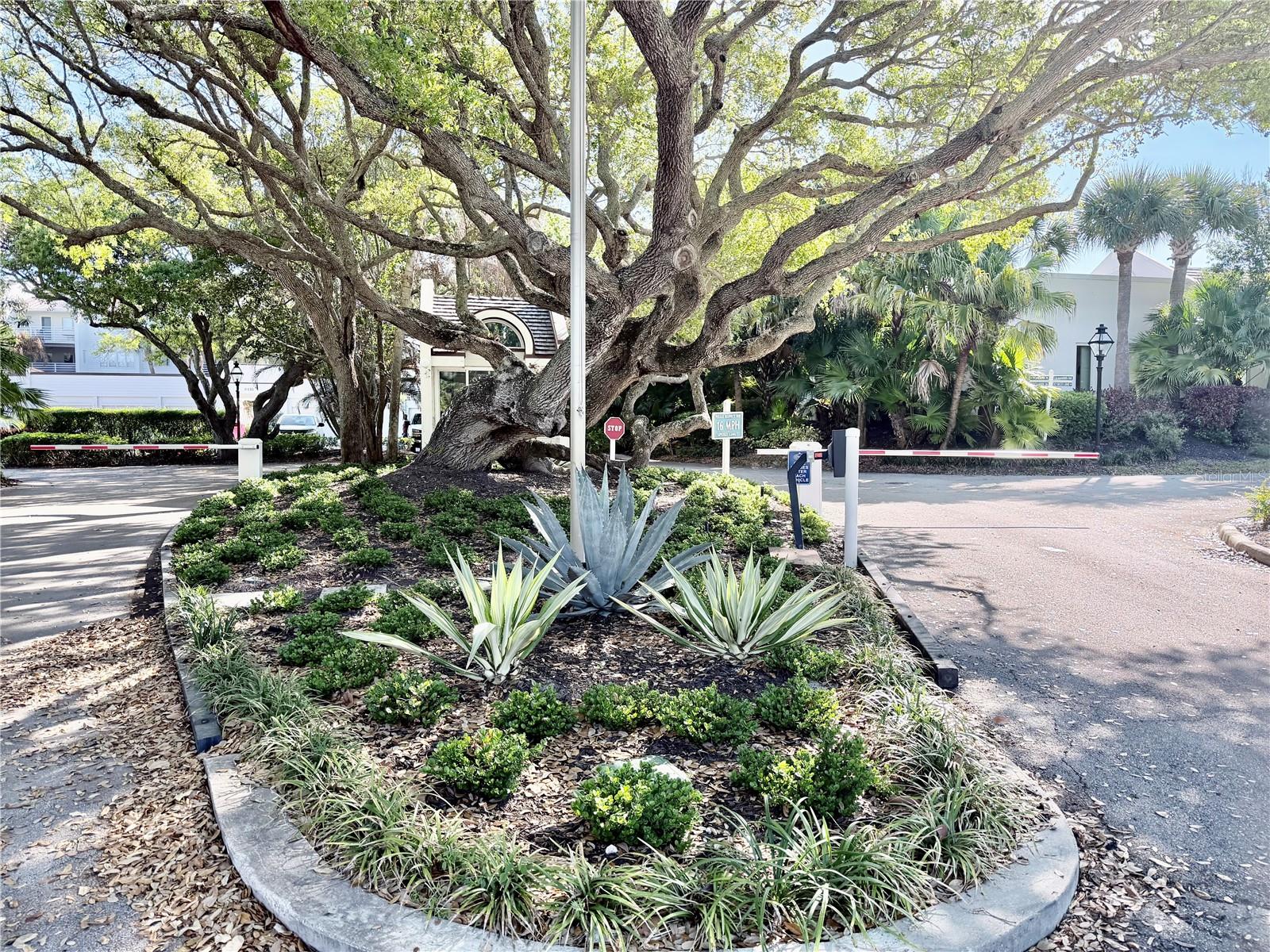 Image 33 of 34 For 8365 Baytree Drive 8365