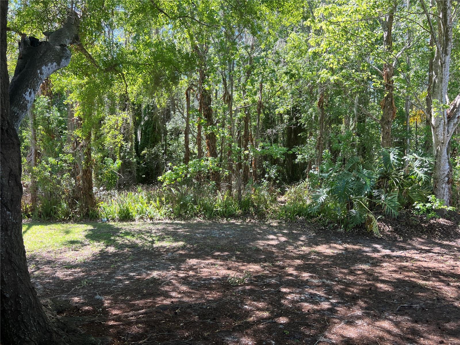 Image 13 of 13 For 13048 Cog Hill Way