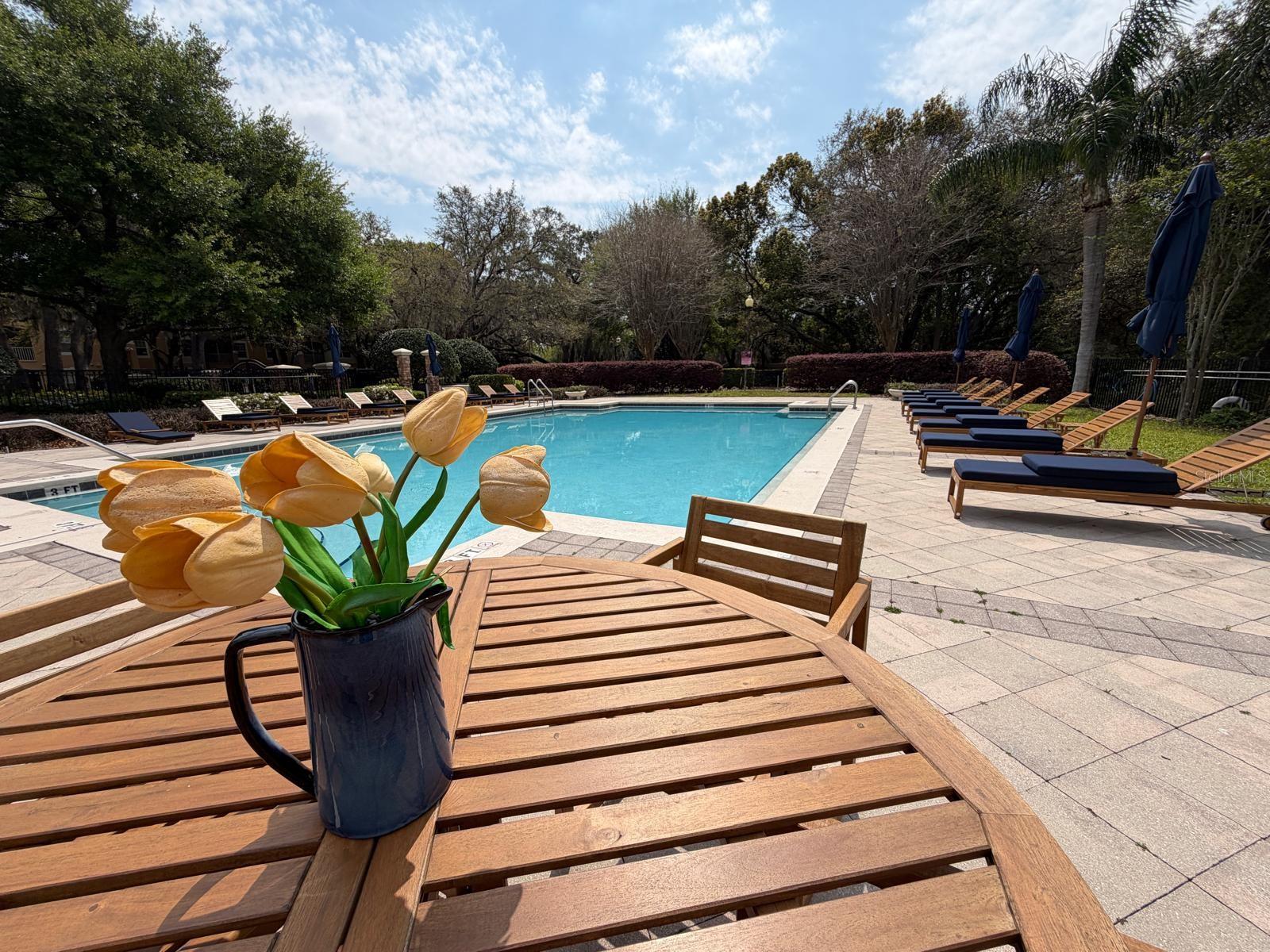 Image 21 of 29 For 3190 Dante Drive 305