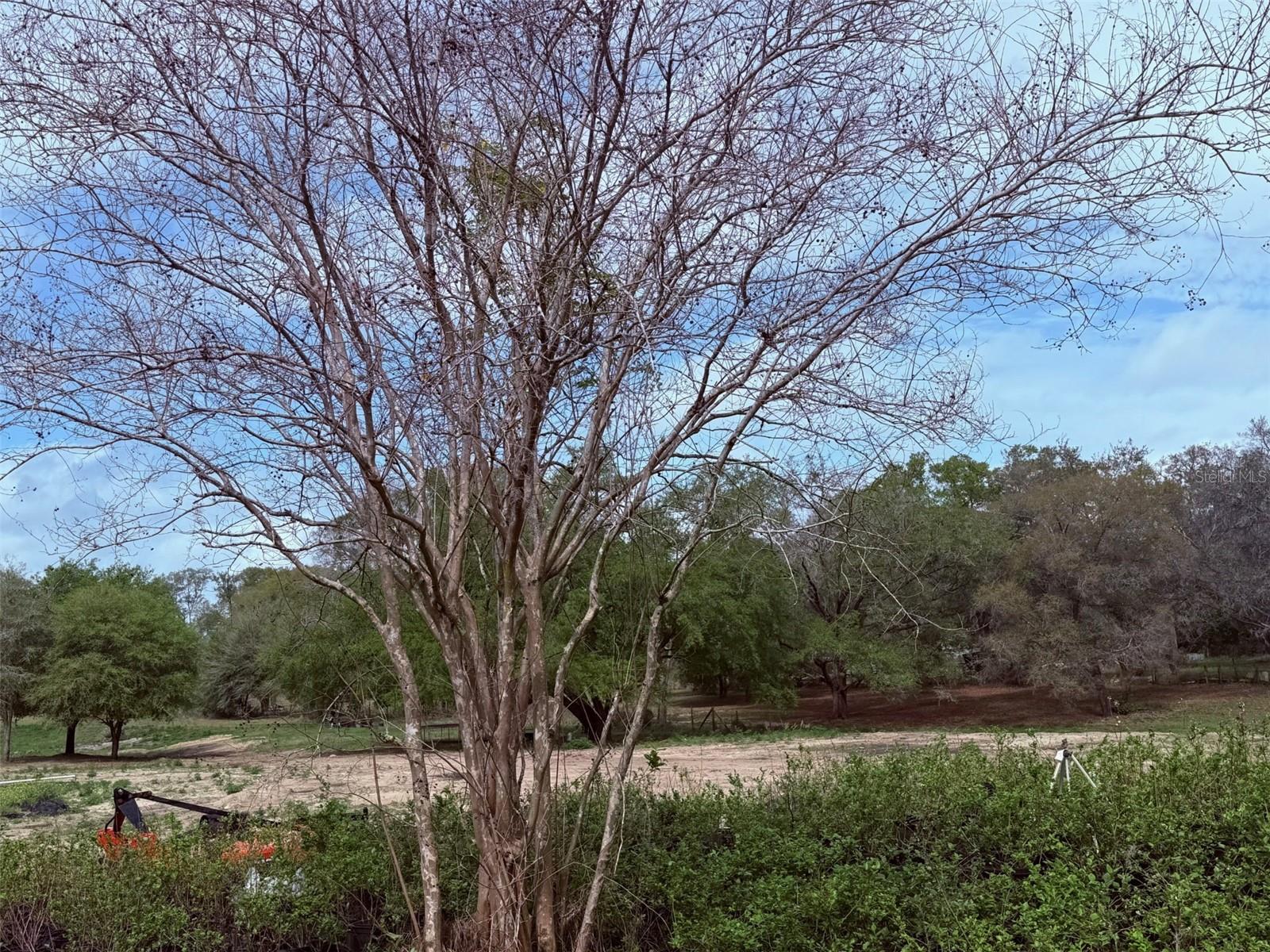 Image 6 of 6 For 3330 Plymouth Sorrento Road