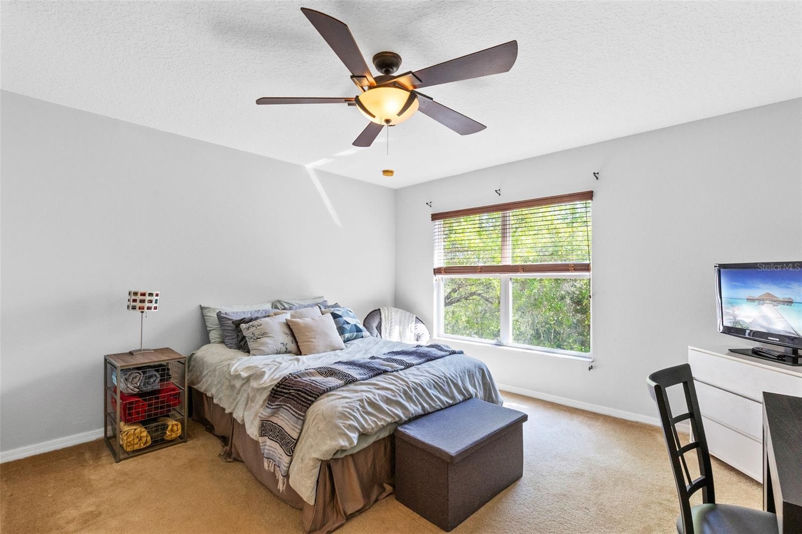 Image 13 of 31 For 4555 Lacebark Trail