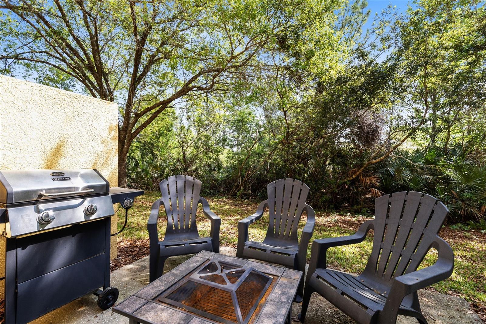 Image 21 of 31 For 4555 Lacebark Trail