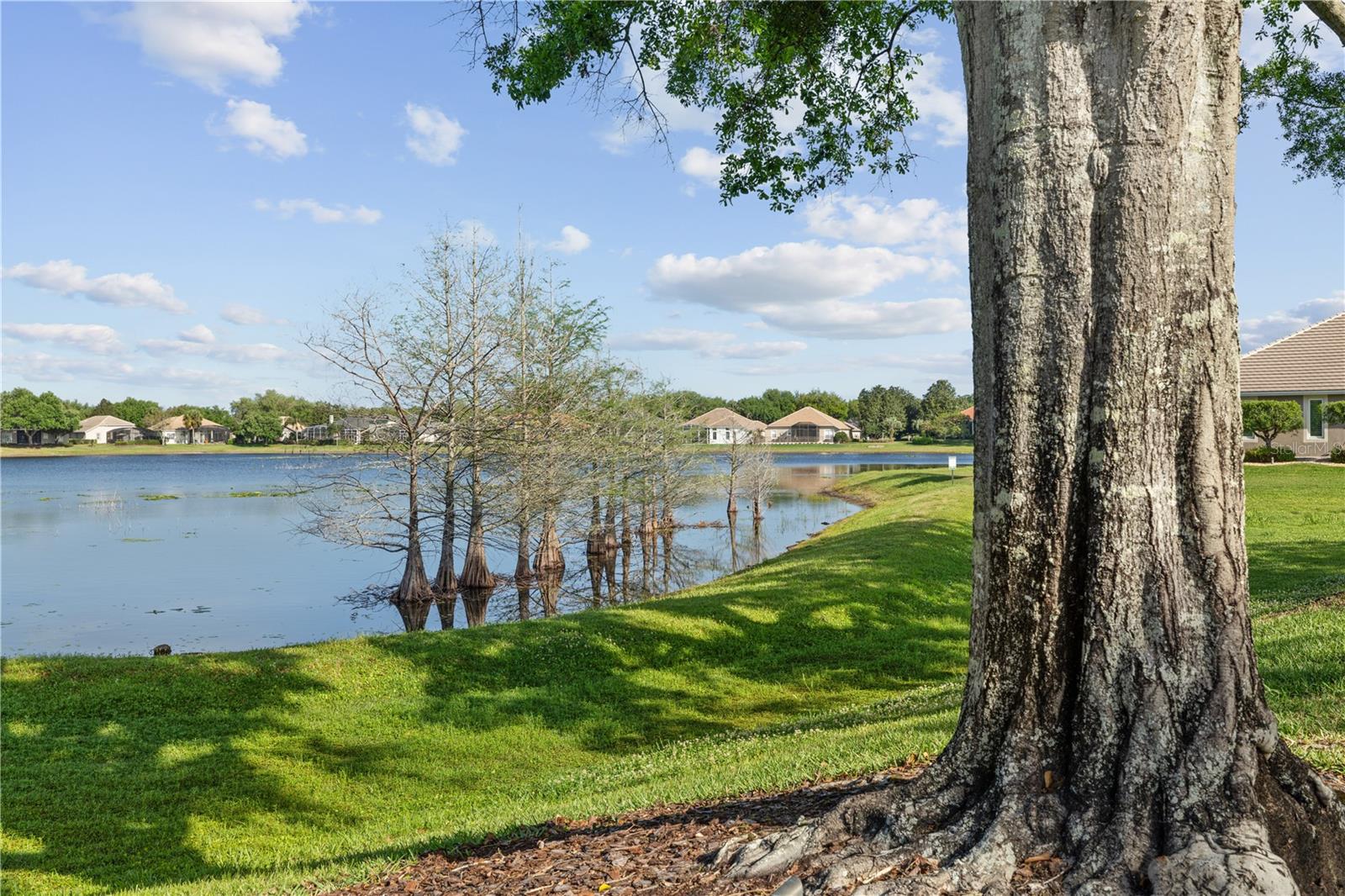 Image 74 of 83 For 968 Paddington Terrace