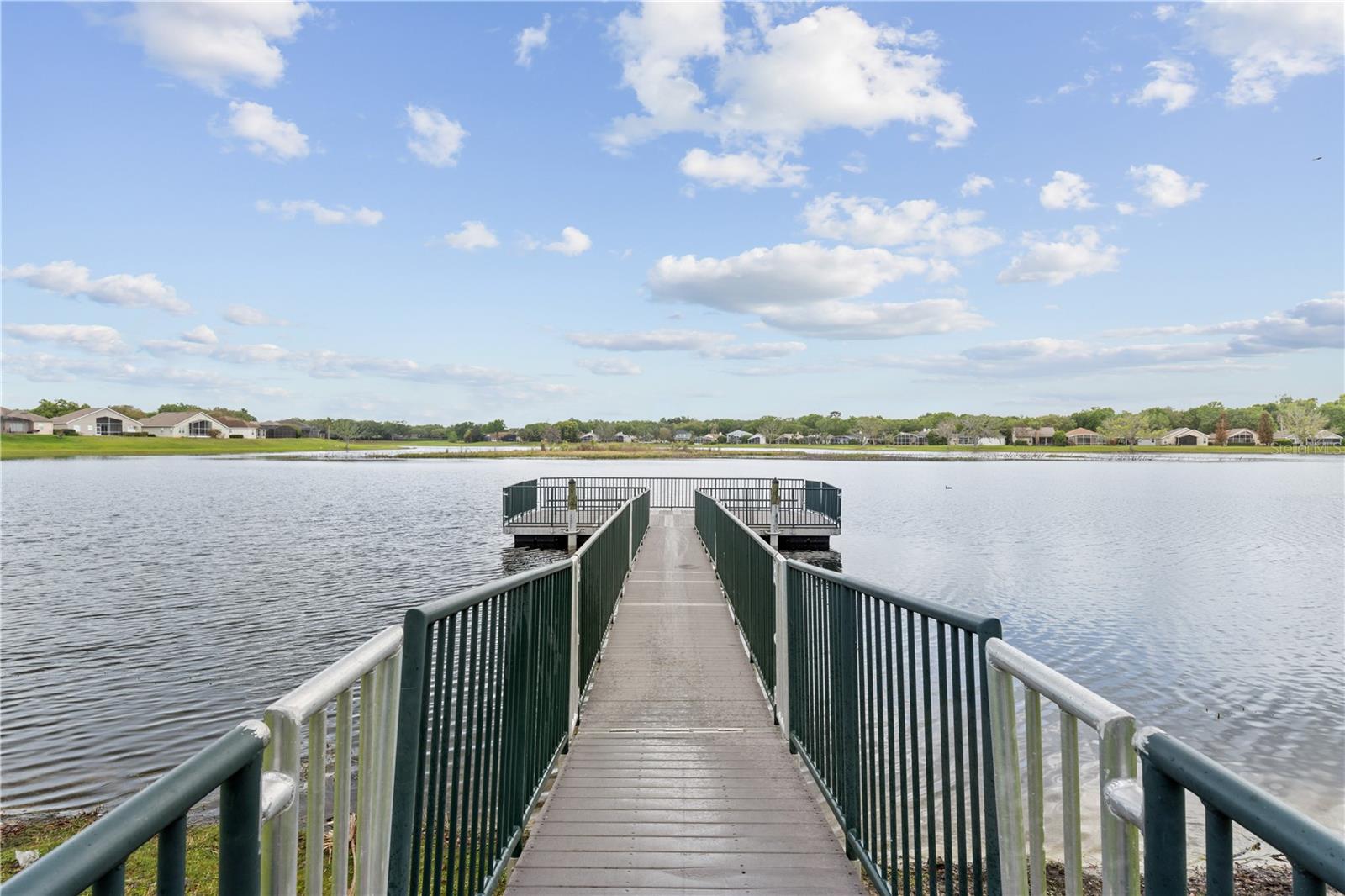 Image 76 of 83 For 968 Paddington Terrace