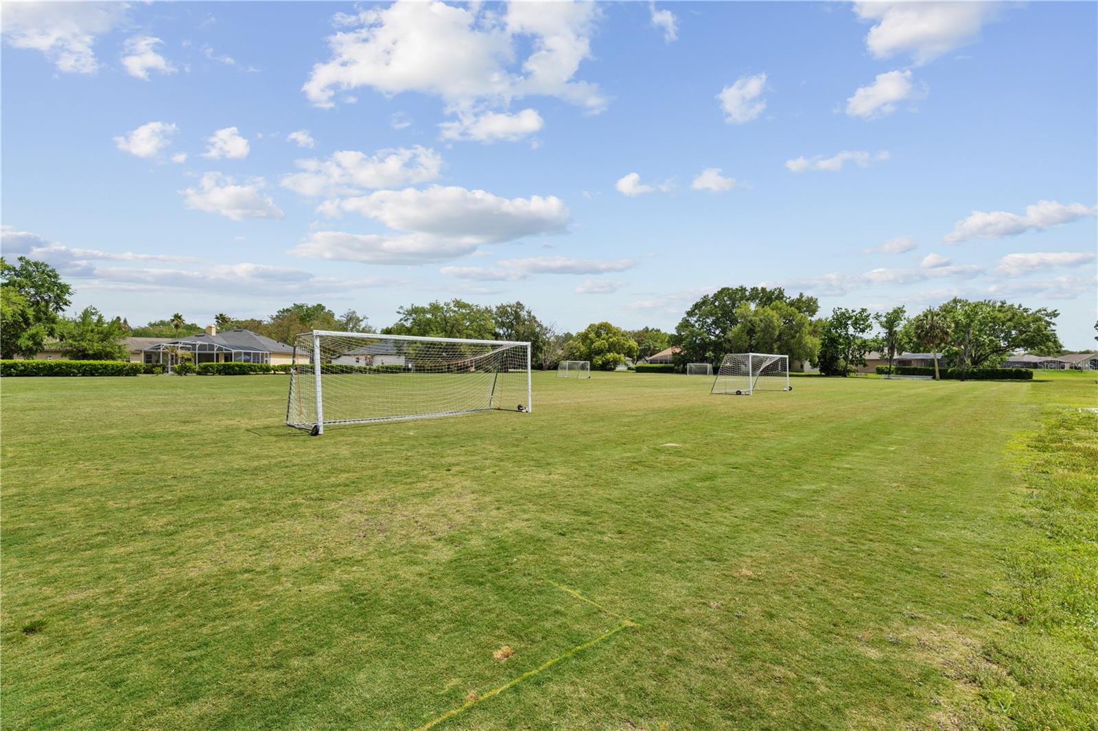 Image 81 of 83 For 968 Paddington Terrace