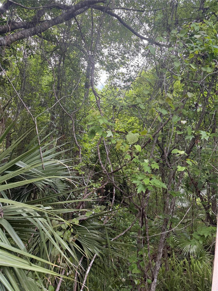 Details for 32937 Thoroughbred Trail, SORRENTO, FL 32776