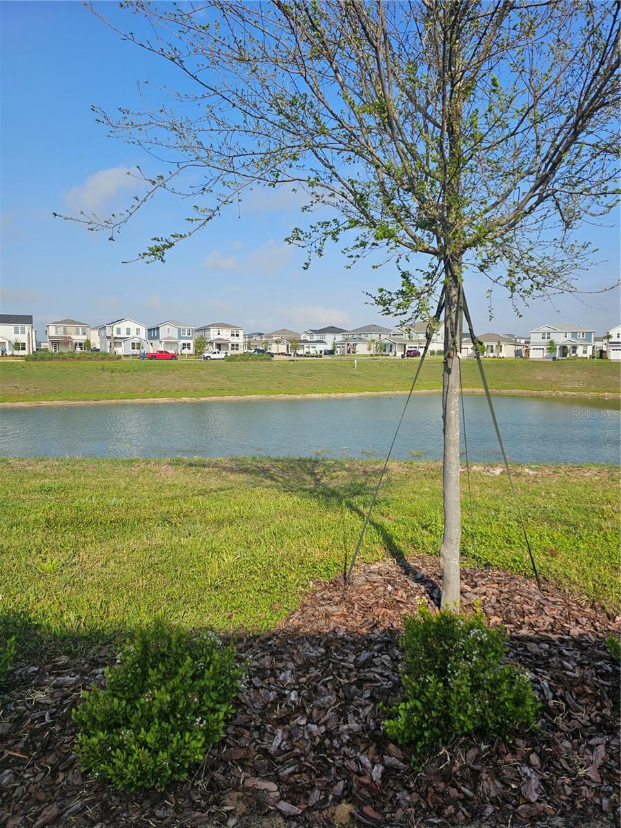 Image 24 of 24 For 16288 Merry Aly