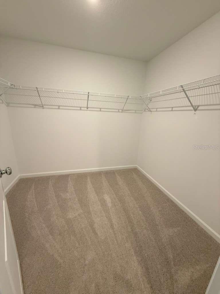 Image 16 of 21 For 355 Artemis Street