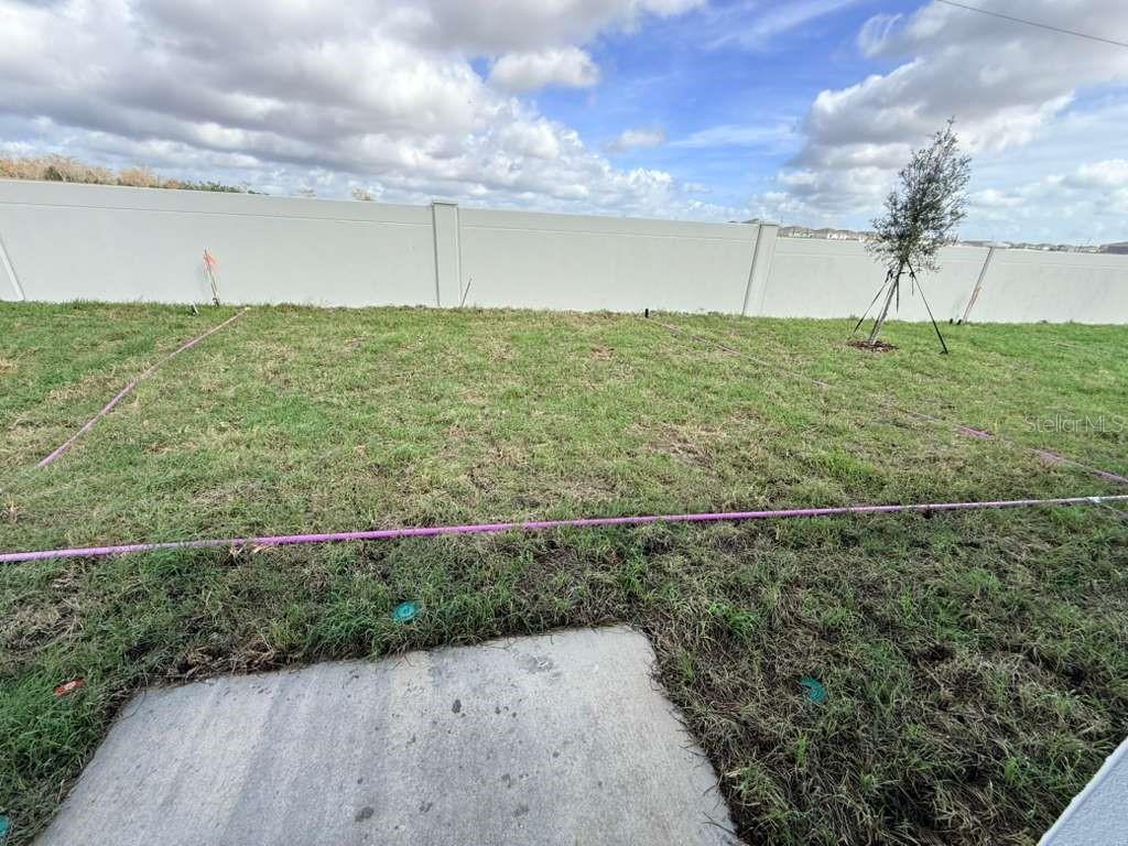 Image 21 of 21 For 355 Artemis Street