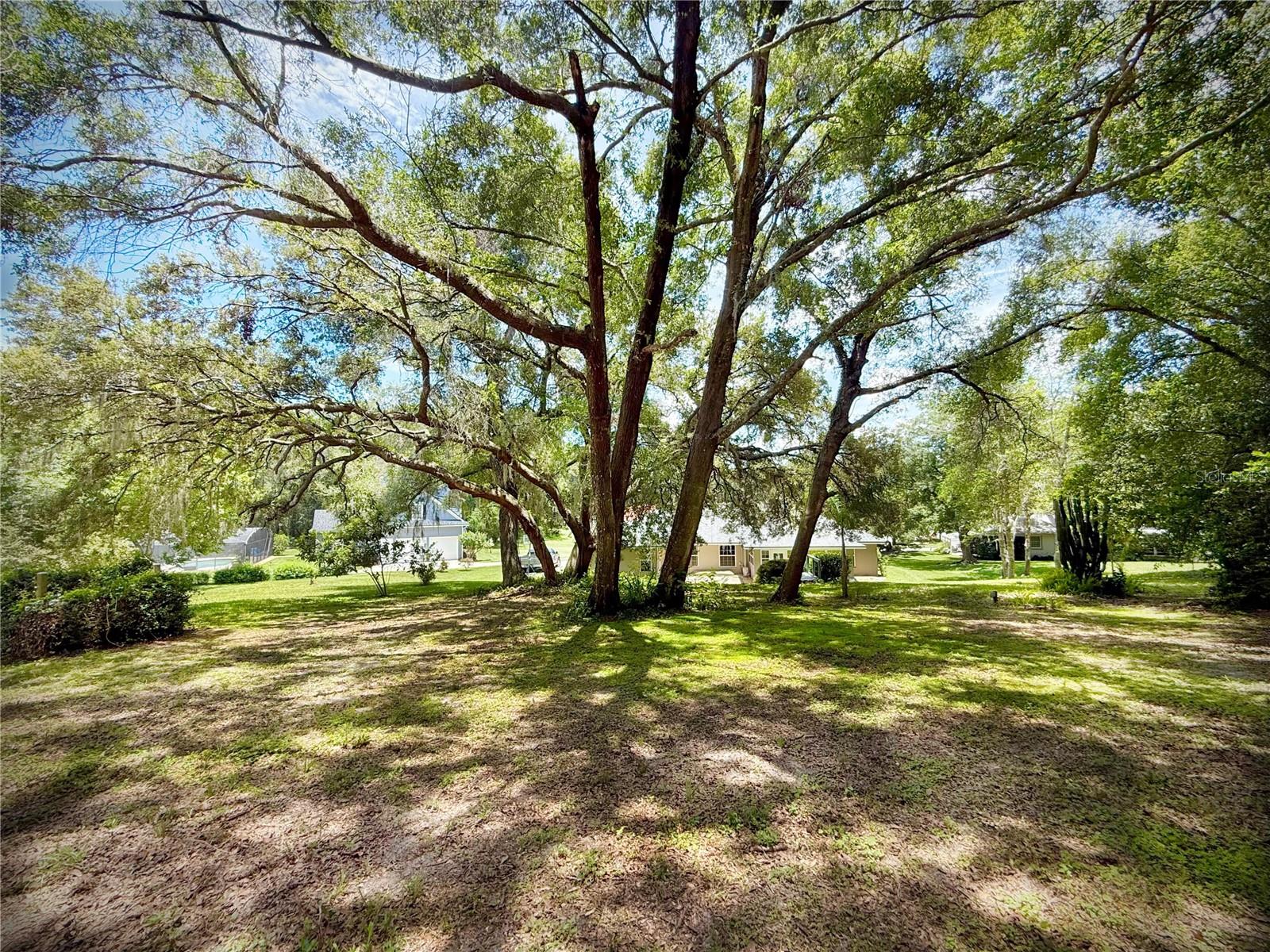 Image 10 of 16 For 7237 Edmund Court