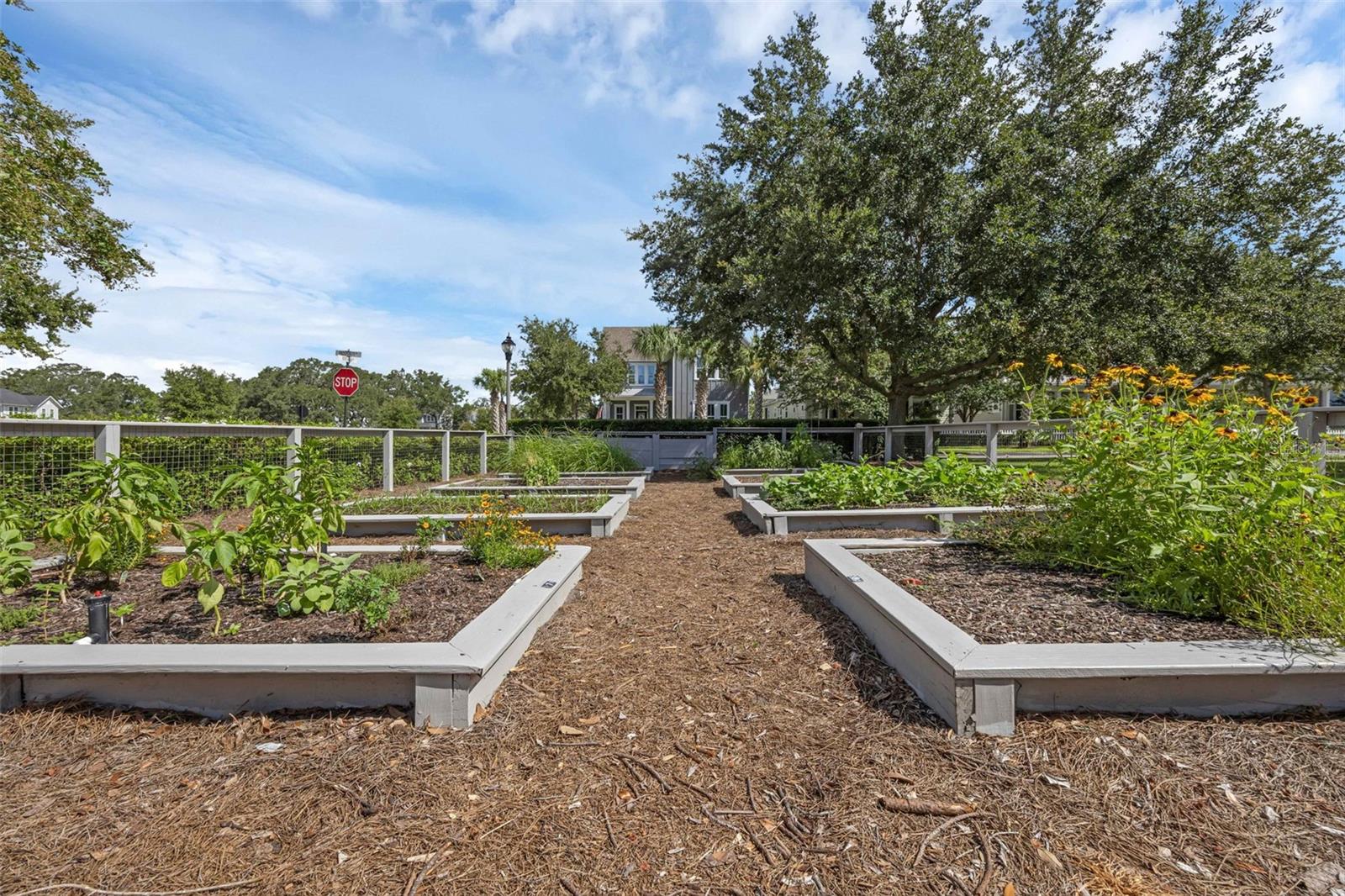 Image 46 of 60 For 936 Kylee Aly