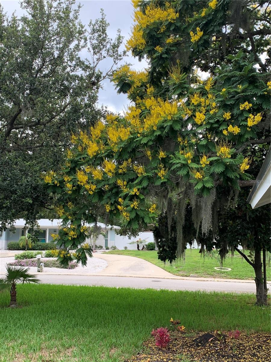 Image 39 of 39 For 6370 Conniewood Square