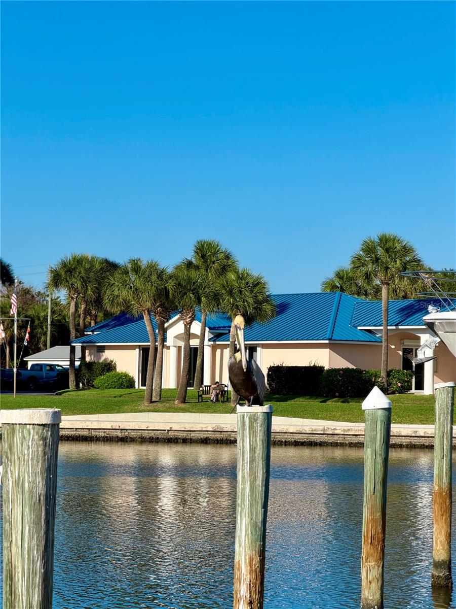 Image 4 of 26 For 5151 N Highway A1a  212