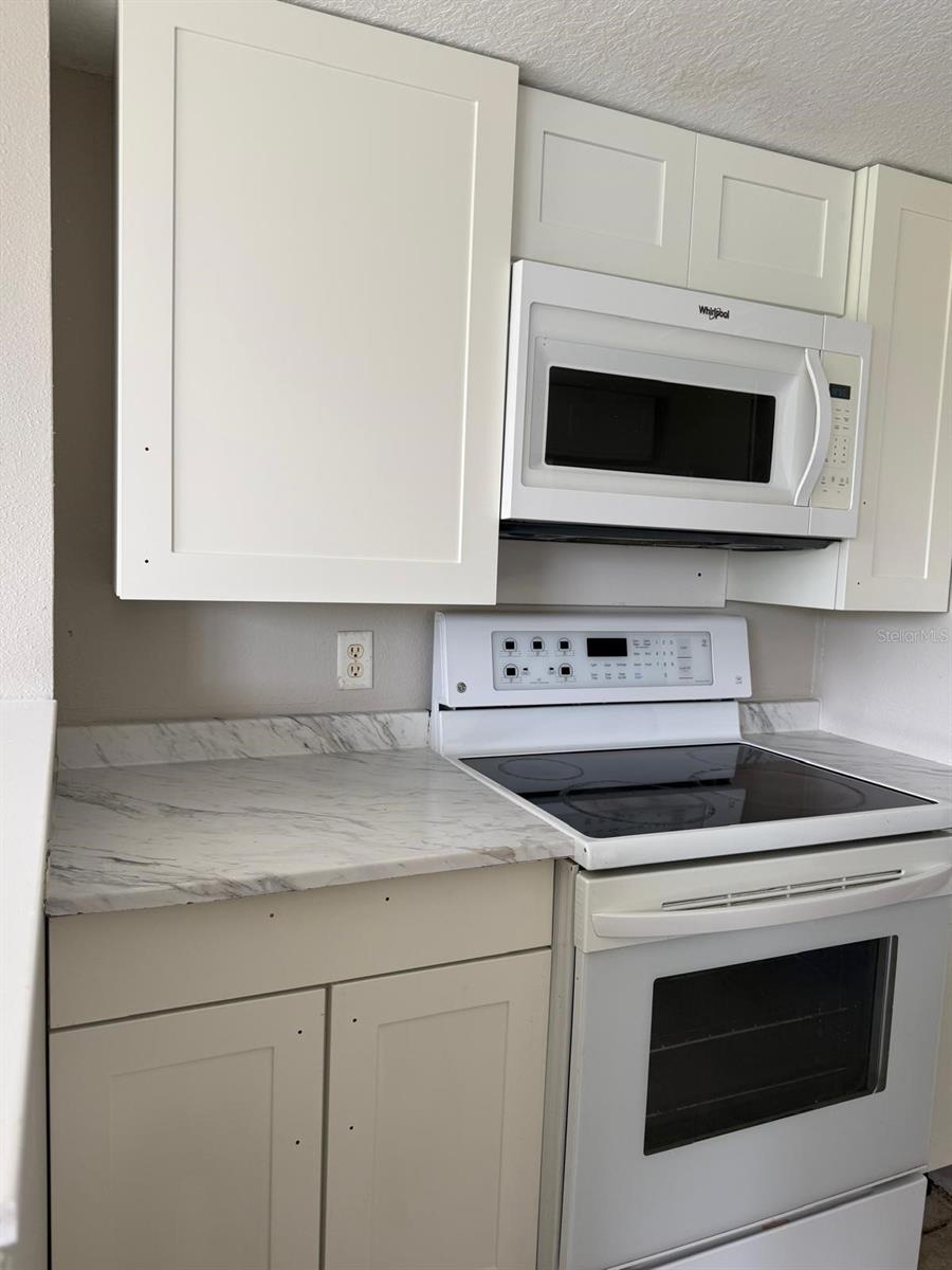 Image 6 of 15 For 631 Washington Palm Loop