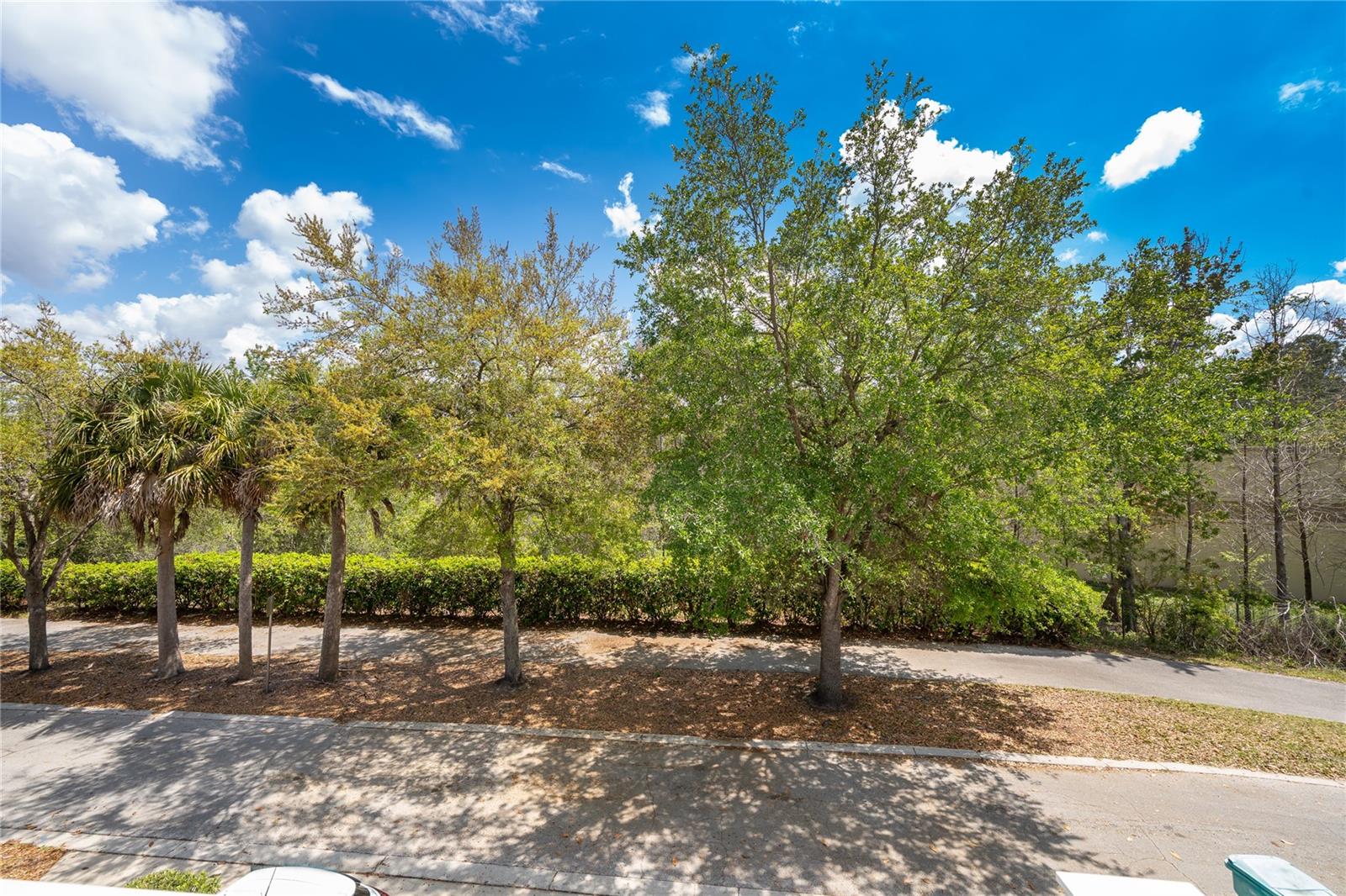 Image 19 of 22 For 10888 Eclipse Lily Way 62a