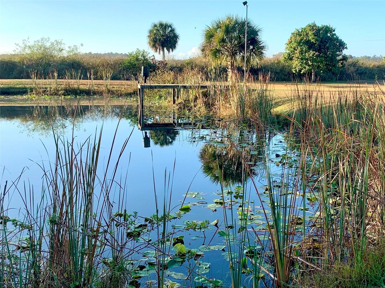 Image 19 of 26 For 1418 141st Street