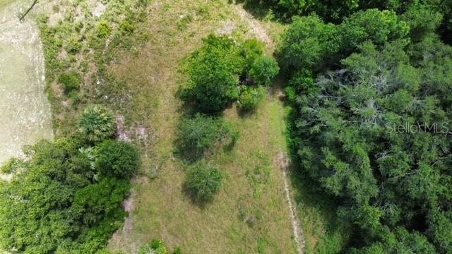 Image 11 of 11 For 4026 Orange Blossom Trail