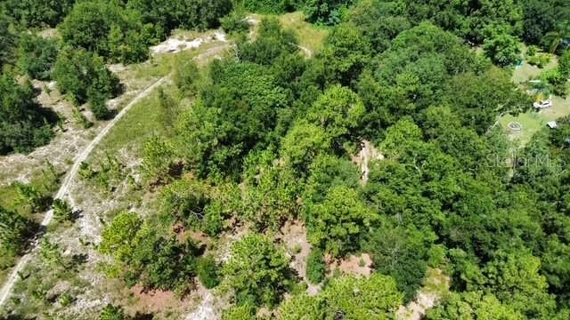 Image 3 of 11 For 4026 Orange Blossom Trail