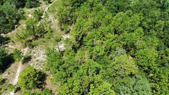 Image 4 of 11 For 4026 Orange Blossom Trail