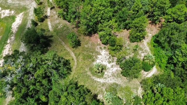 Image 5 of 11 For 4026 Orange Blossom Trail