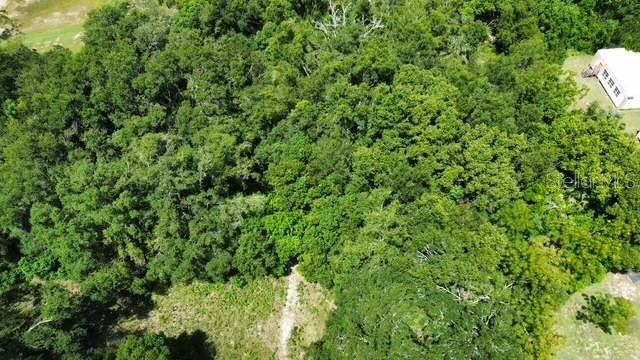 Image 6 of 11 For 4026 Orange Blossom Trail