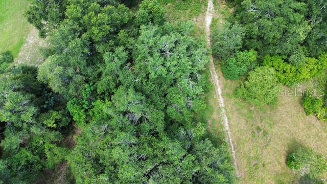 Image 8 of 11 For 4026 Orange Blossom Trail