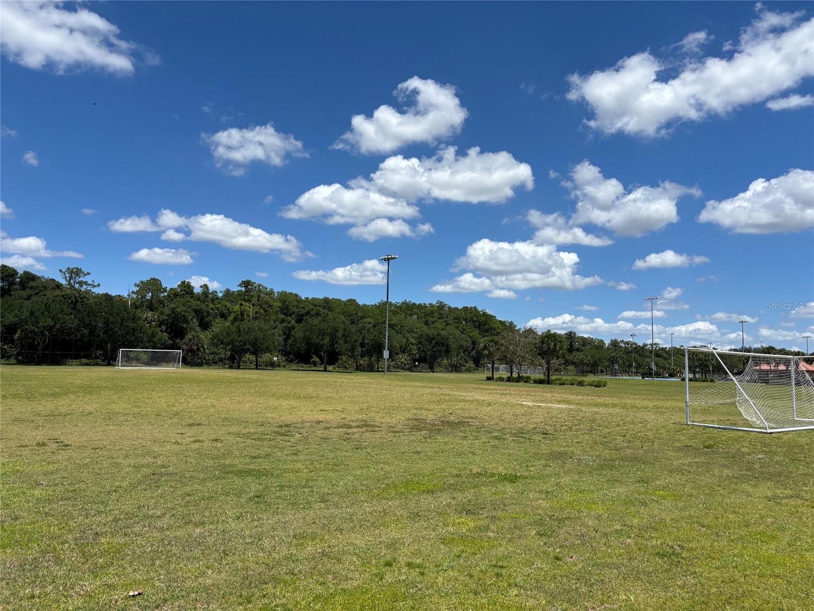 Listing photo id 58 for 5868 Agostino Way