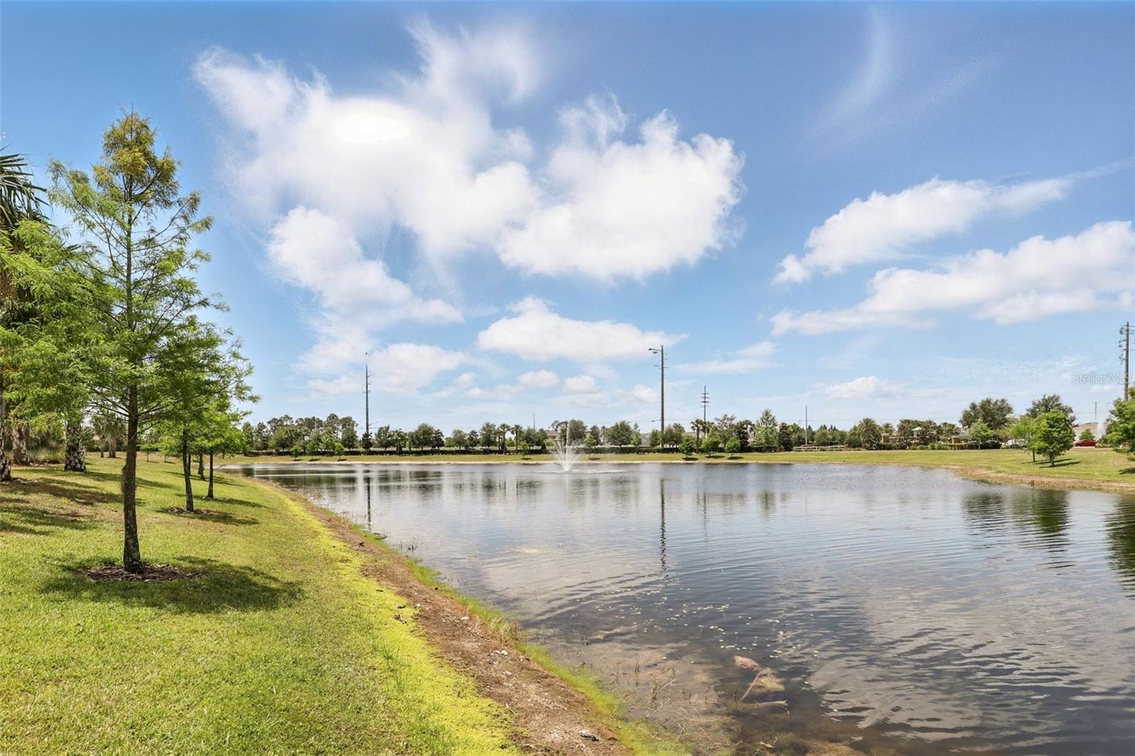 Image 15 of 20 For 9820 Bucklow Hill Drive
