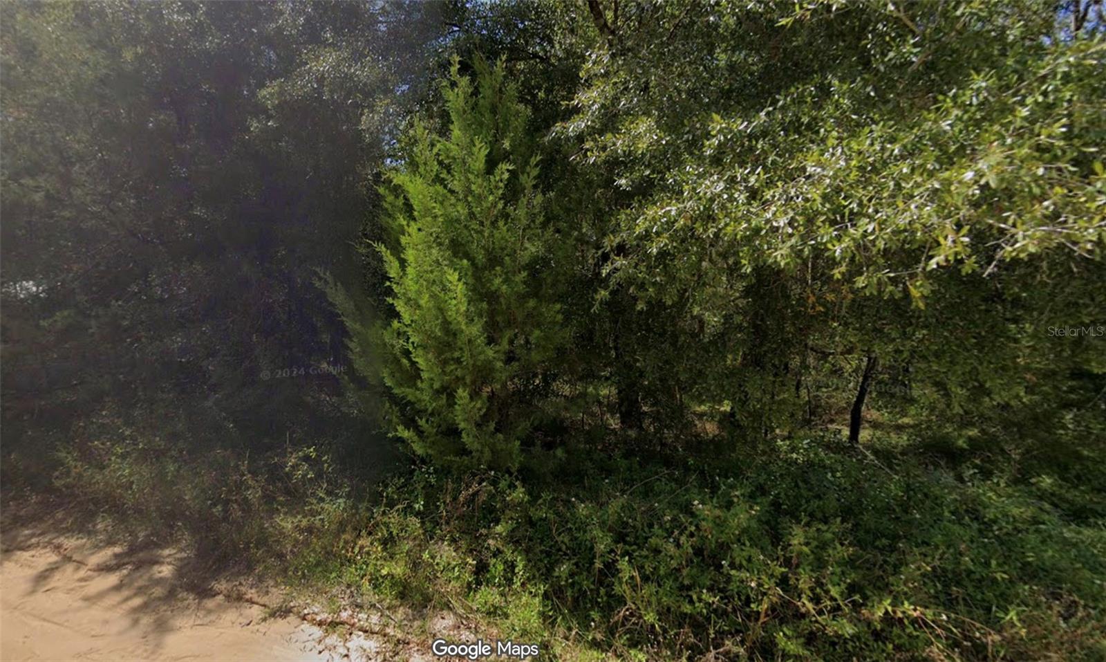 Image 4 of 5 For 201 Dickens Street