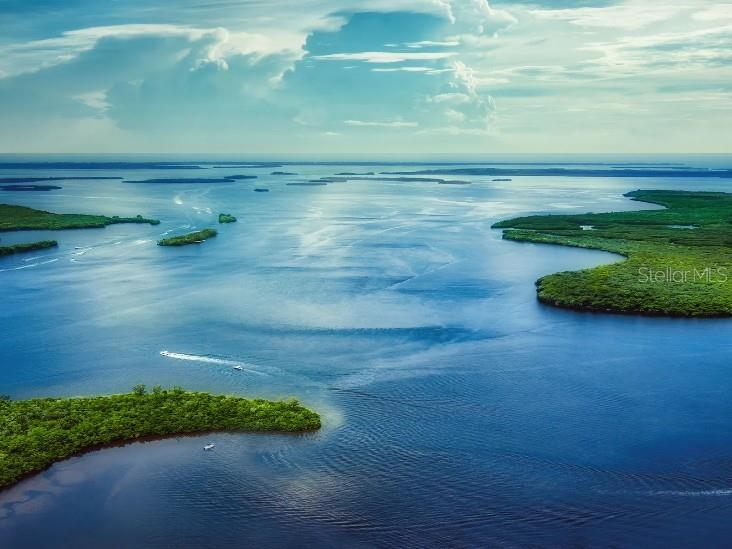 Image 24 of 32 For 10530 Fountain Palm Circle