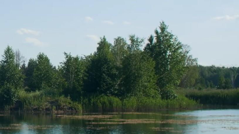 Image 31 of 32 For 10530 Fountain Palm Circle