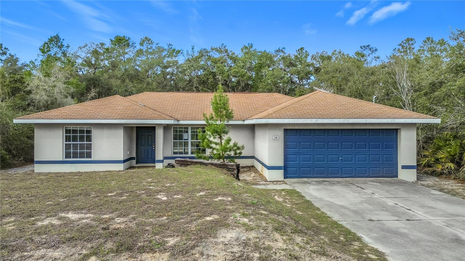 Details for 50 Malauka Pass Course, OCKLAWAHA, FL 32179