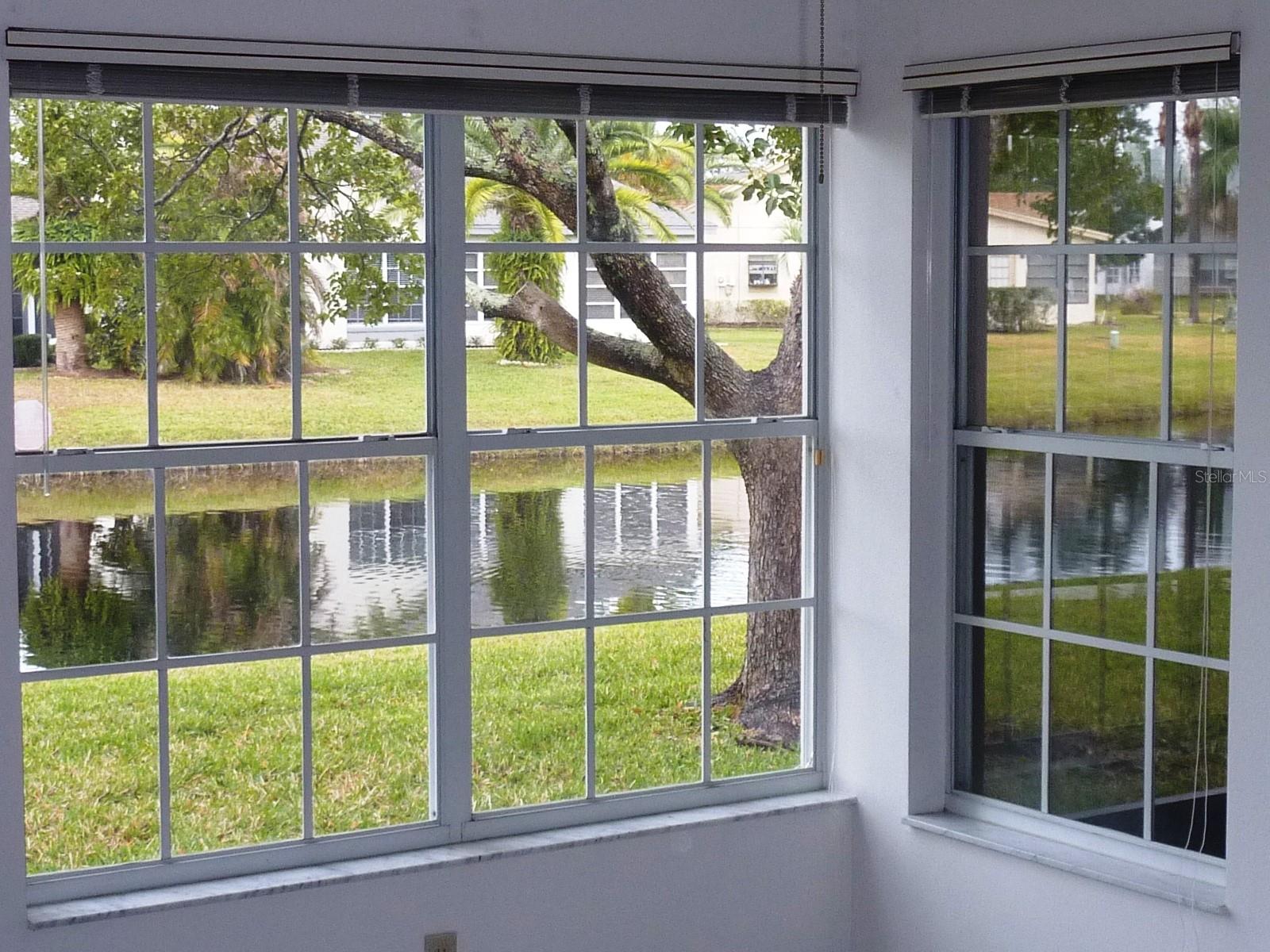 Image 12 of 38 For 11524 Pumpkin Seed Court