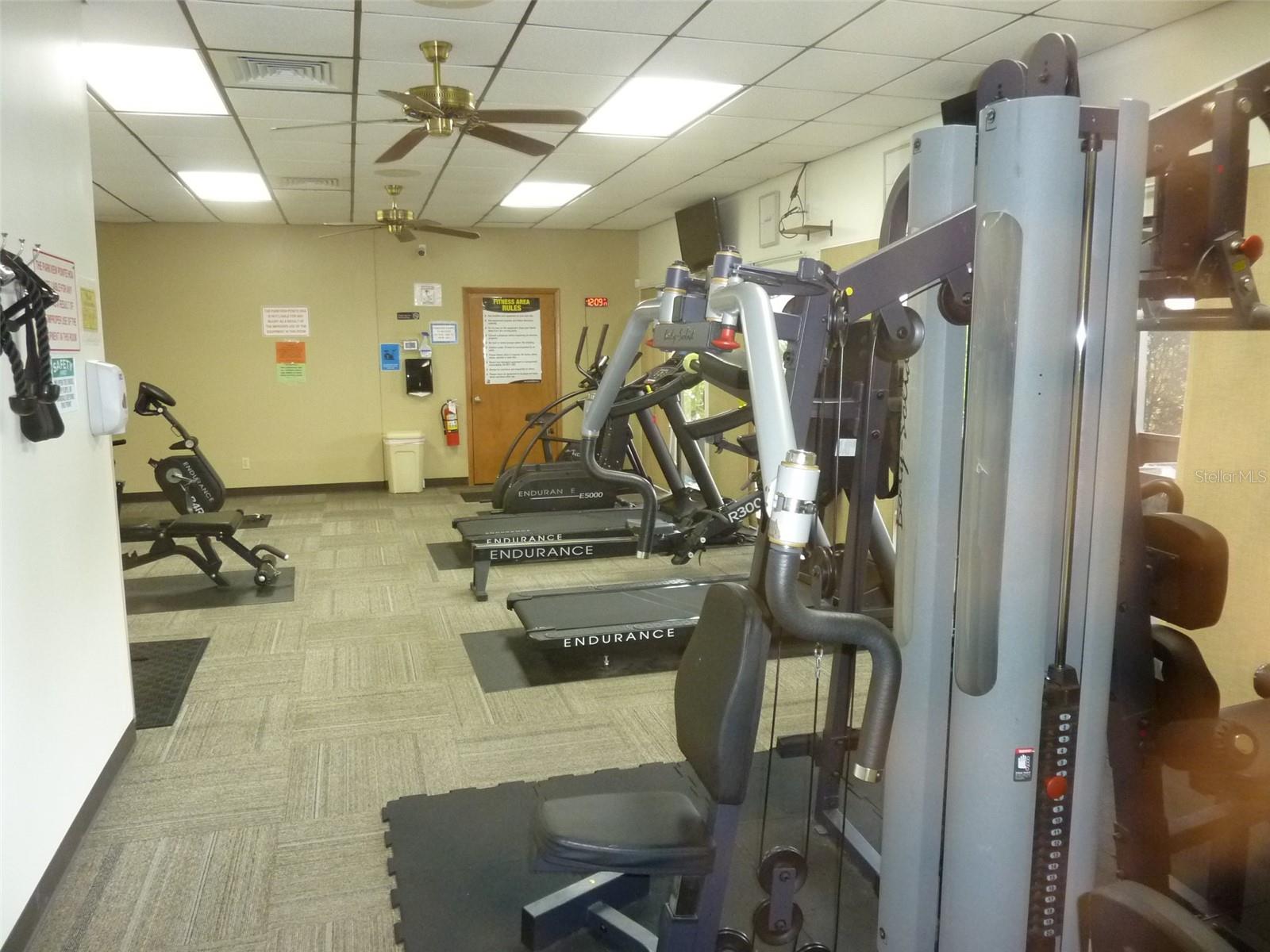 Image 34 of 38 For 11524 Pumpkin Seed Court