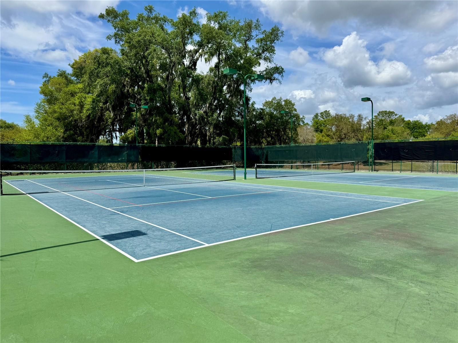 Image 52 of 59 For 5132 Rishley Run Way