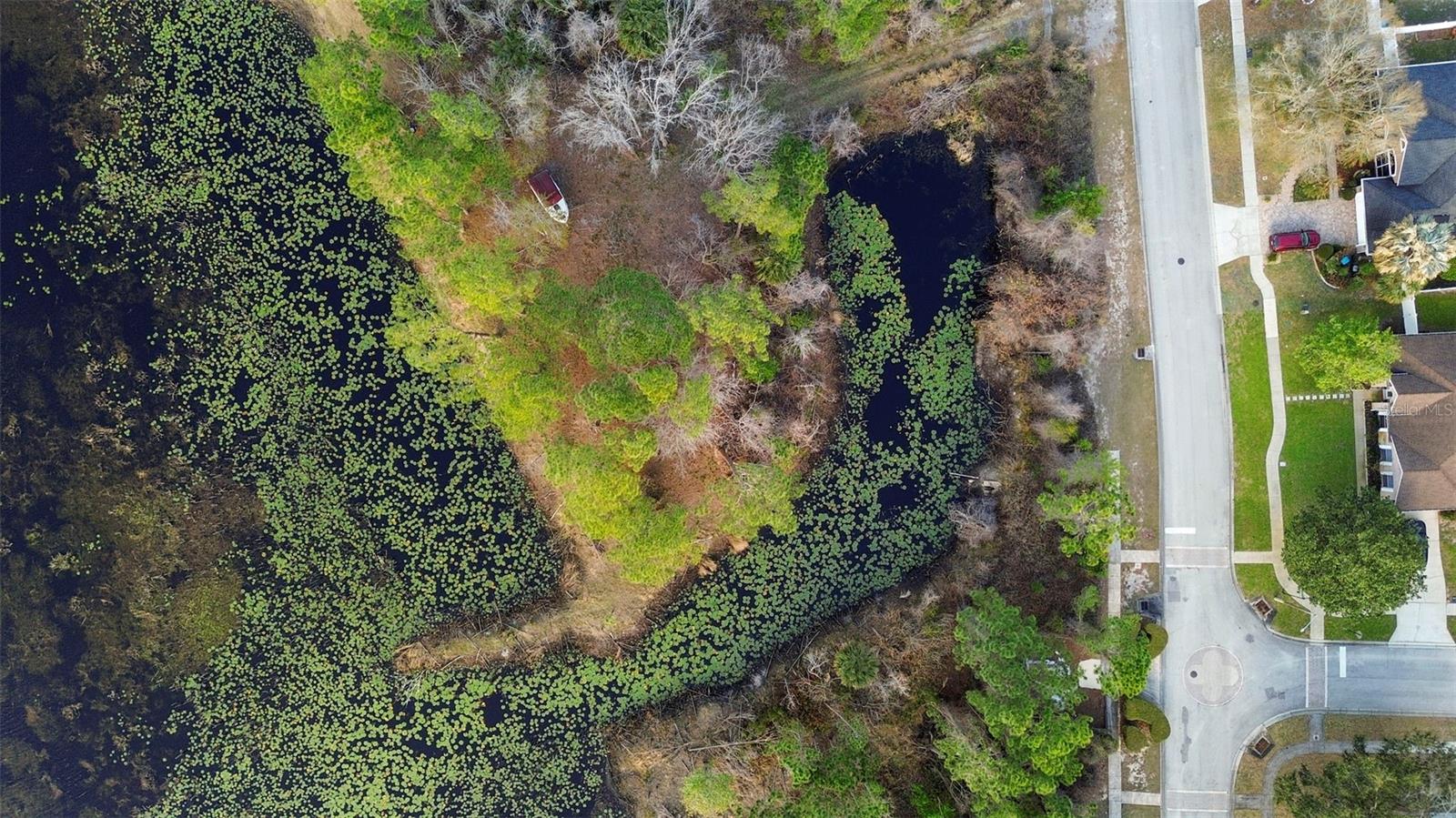 Image 12 of 15 For 458 Haversham Road