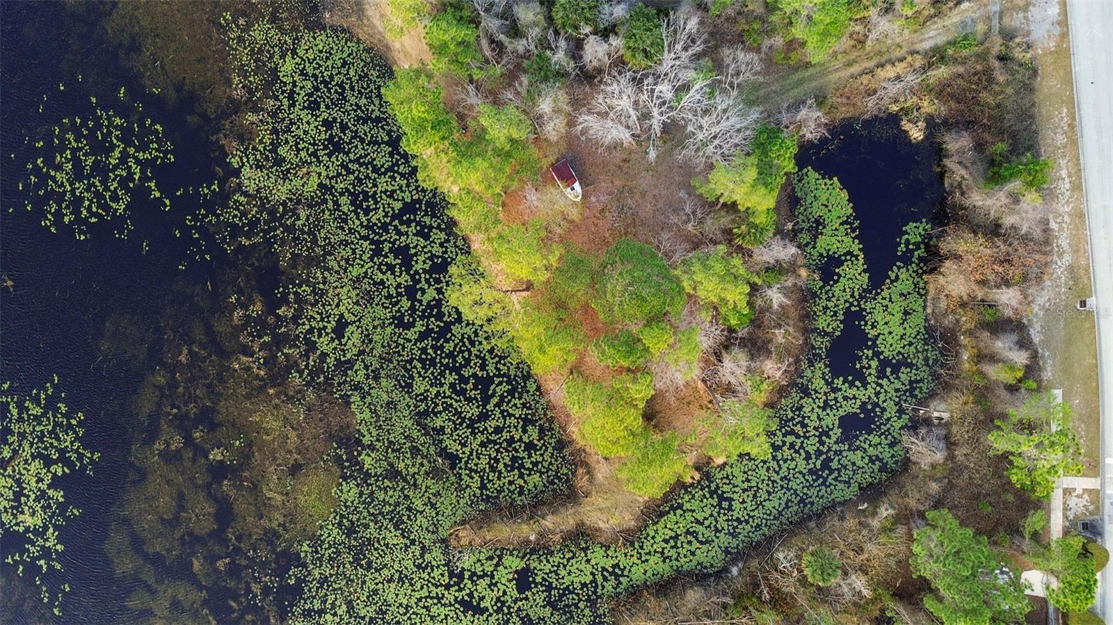 Image 13 of 15 For 458 Haversham Road