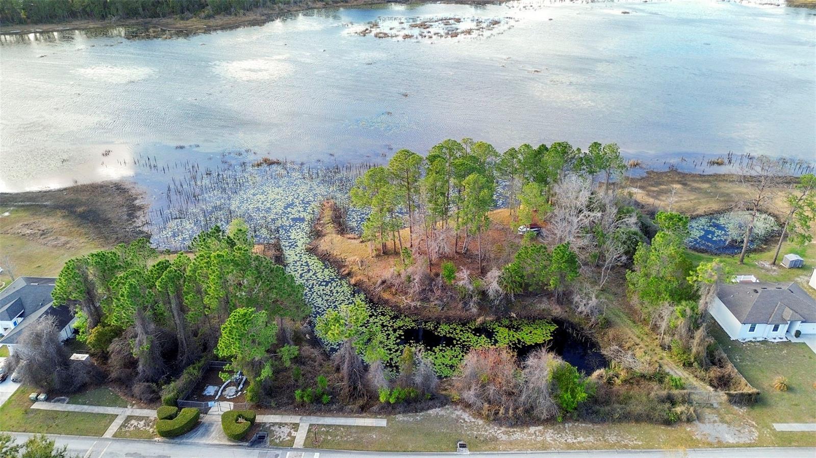 Image 6 of 15 For 458 Haversham Road