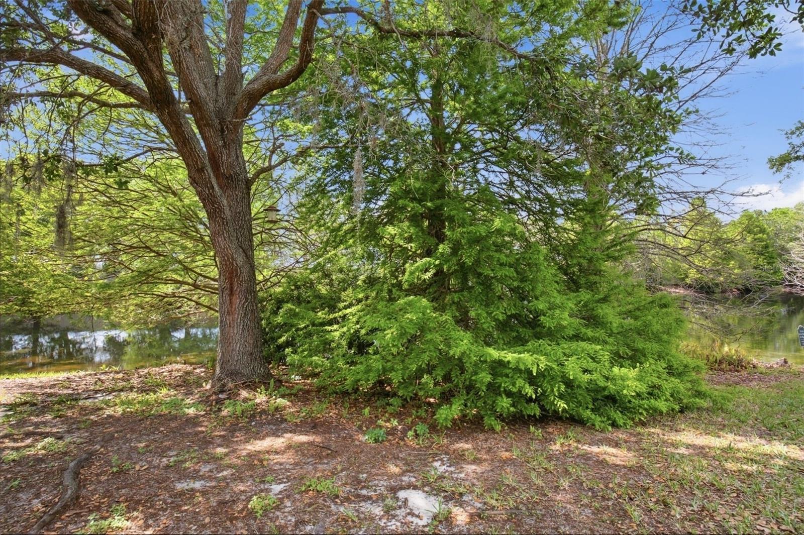 Image 28 of 30 For 5751 Autumn Shire Drive