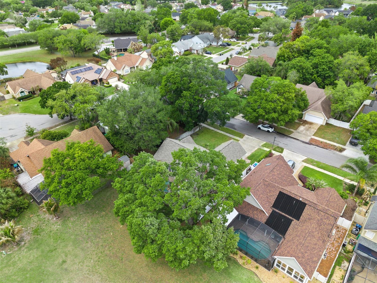 Image 49 of 58 For 12406 Harney Drive