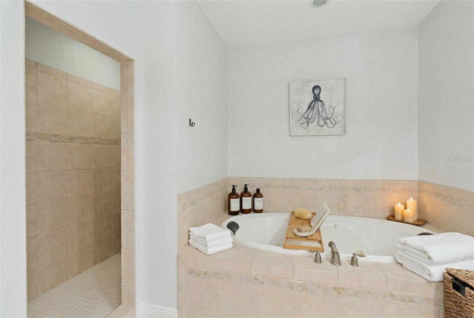 Image 30 of 71 For 16805 Beauclaire Court